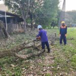 Treinamento de Motosserra – NR-12